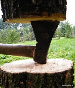 Jak rąbać drewno siekierą - metoda na obuch