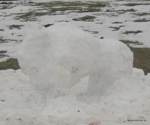 Rzeźba w śniegu i lodzie