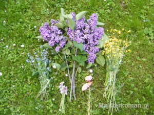 Bez i polne kwiatki Bez i kwiaty do bukietu