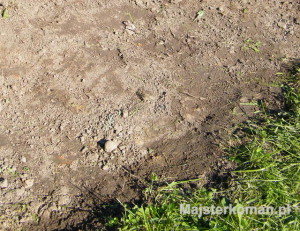 Podłoże Przygotowanie podłoża pod skalniak