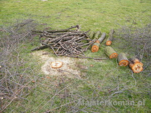 Drewno po ścince Prace ogrodowe: sortowanie drwa